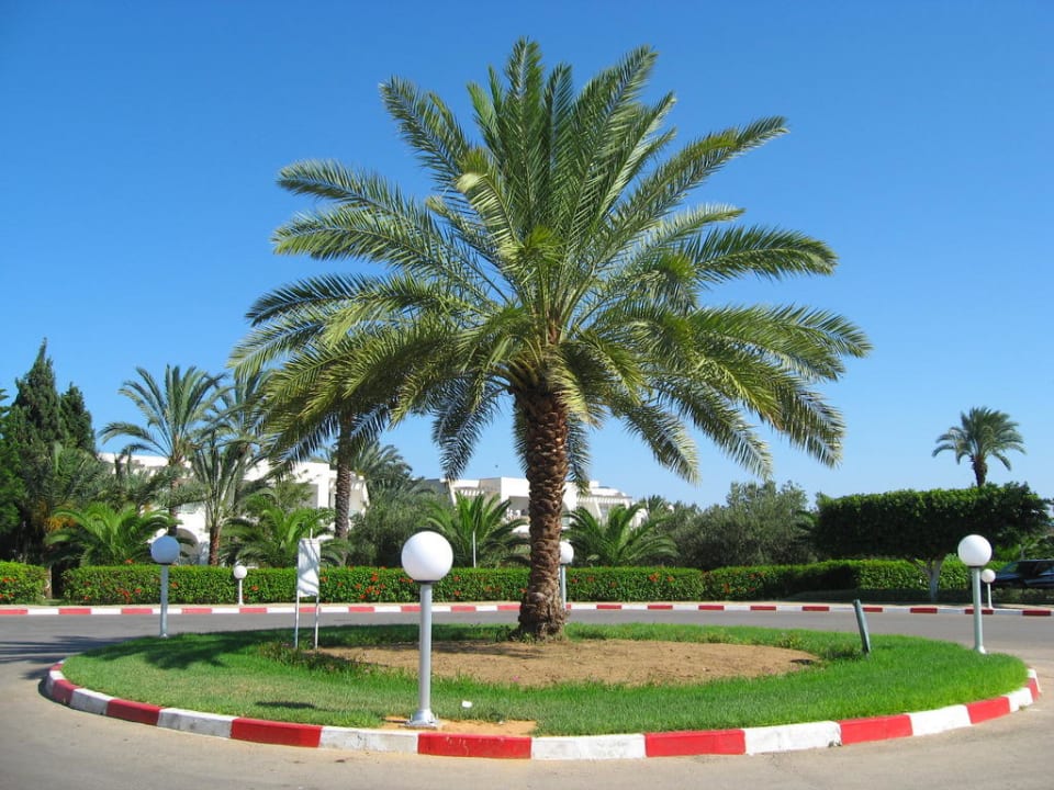 Parking El Mouradi Club Kantaoui