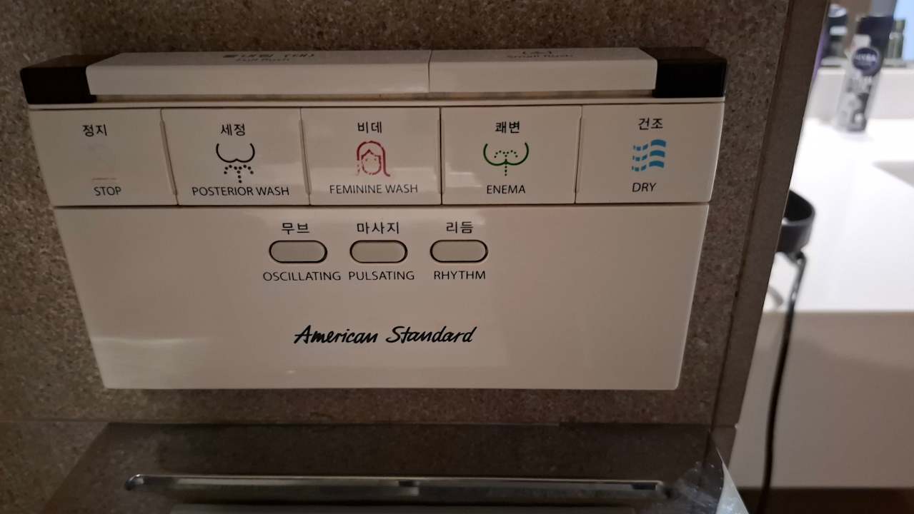 Zimmer Arirang Hill Hotel Dongdaemun