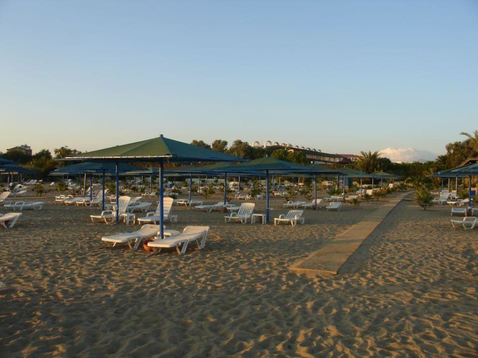 Strand Paloma Oceana