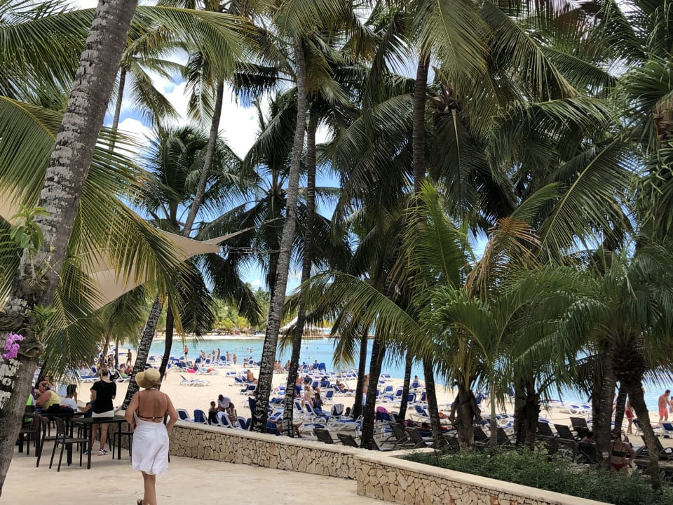 Ausblick Hotel Viva Dominicus Beach by Wyndham - All Inclusive Resort