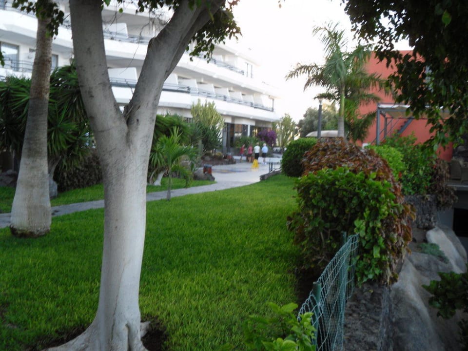 Grünanlage Barceló Santiago - Adults Only