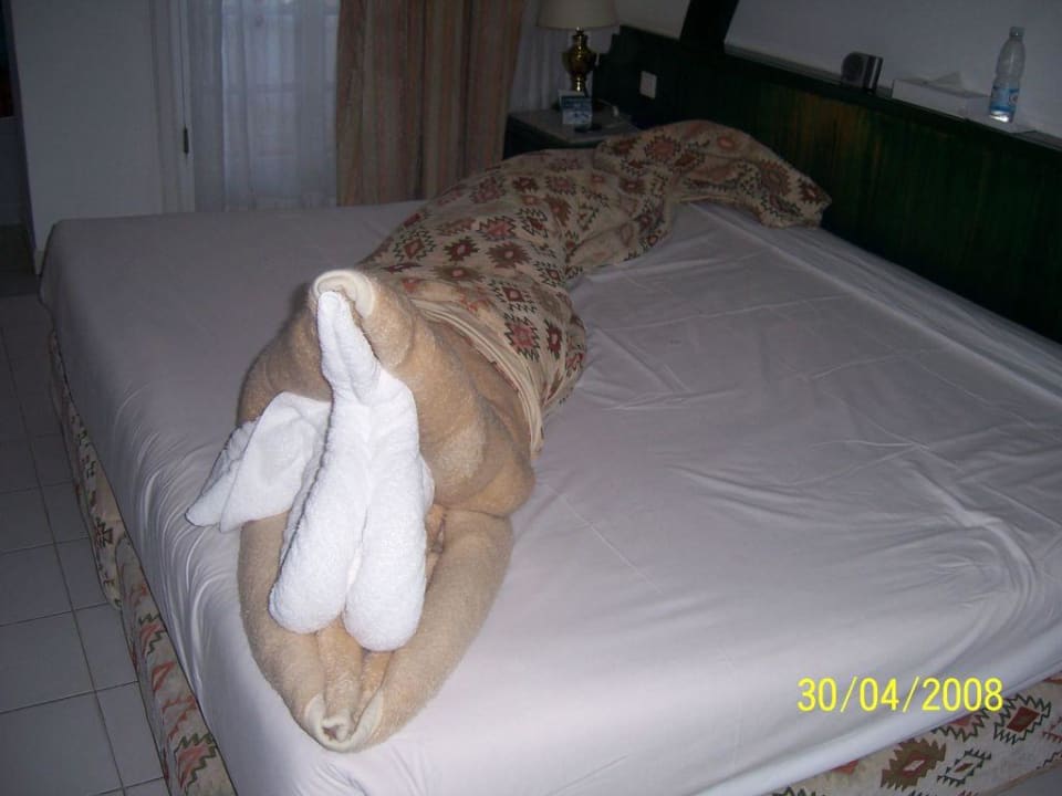 Krokodilmotiv Hotel Mercure Hurghada