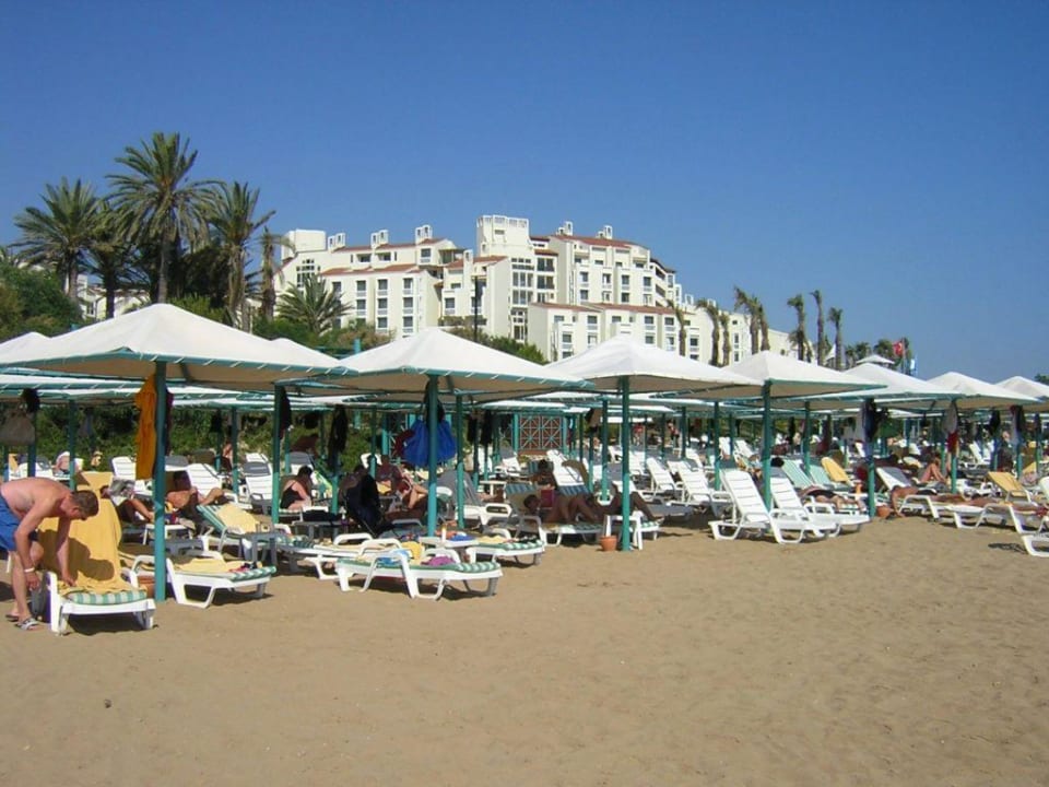 Strand PALOMA Perissia