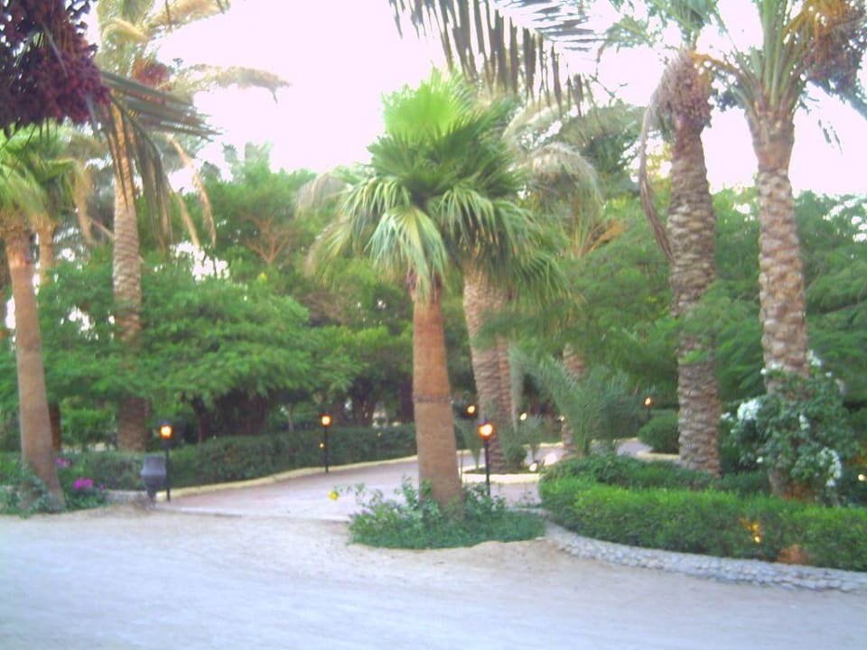 Gartenanlage Giftun Azur Resort