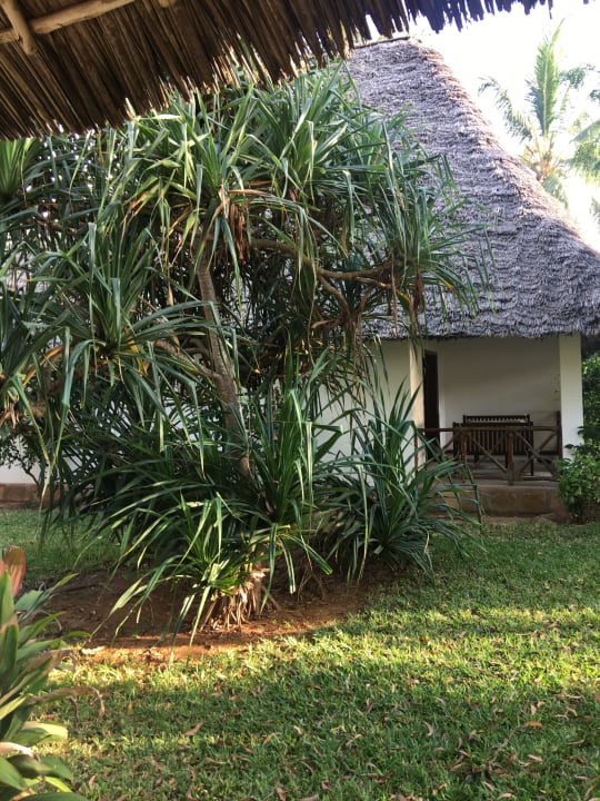 Ausblick Jaz Adonia Beach Resort