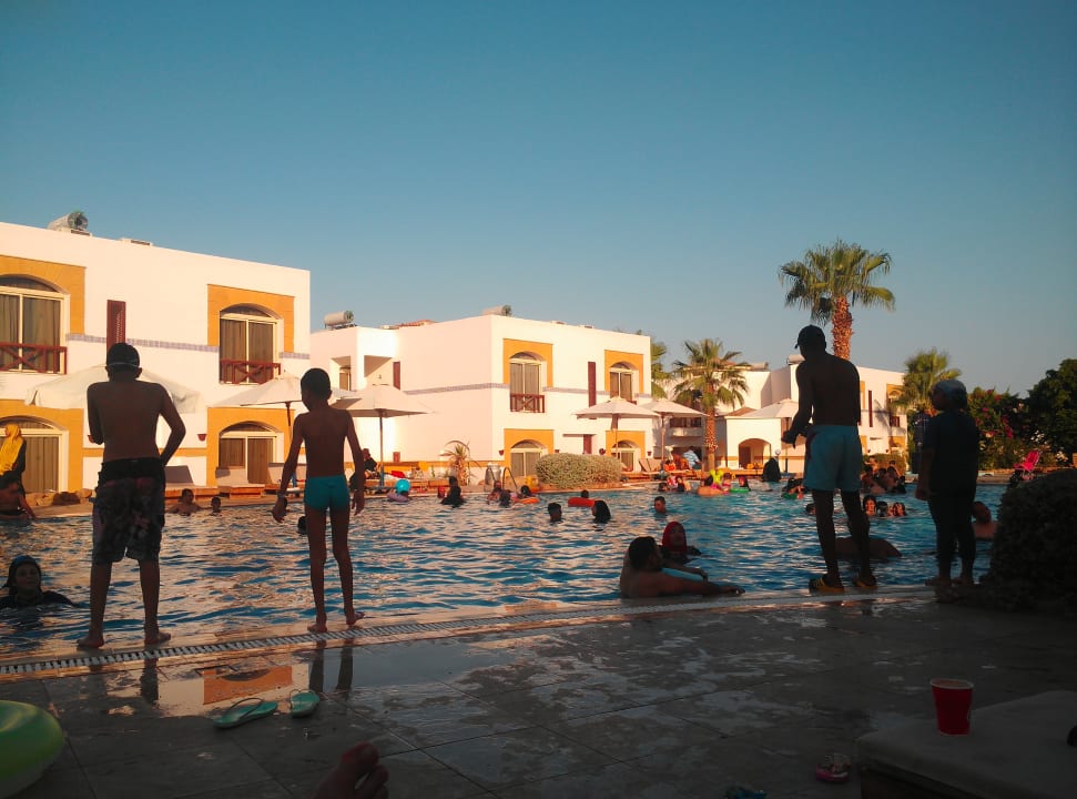 Pool Amphoras Blu