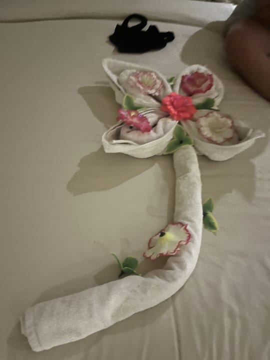 Zimmer Makadi Spa - Adults only