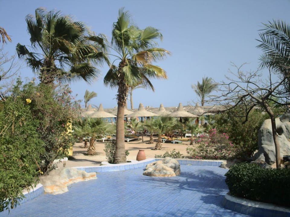 Blick zum Pool Giftun Azur Resort