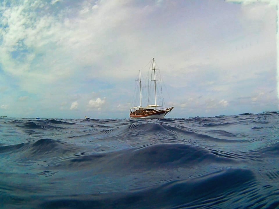 Ocean Discovery Vilamendhoo Island Resort & Spa