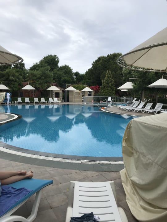 Pool Can Garden Beach