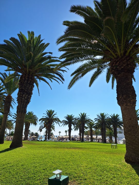 Gartenanlage Hotel JAZ Tour Khalef