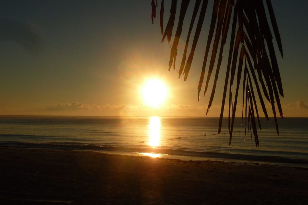 Sonnenaufgang Catalonia Royal Tulum Beach & Spa Resort - Adults only