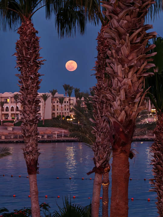 Außenansicht Steigenberger Coraya Beach - Adults only