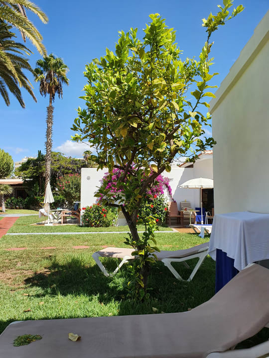 Außenansicht HL Miraflor Suites Hotel