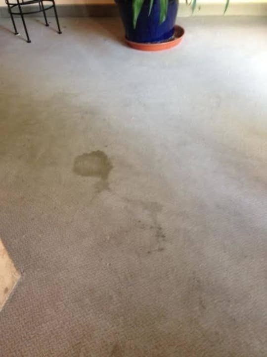 Flur Hotel Alter Wirt