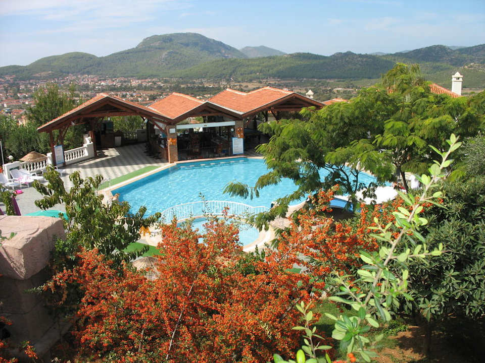 Basen, w głebi bar Daisy Garden Resort Hotel