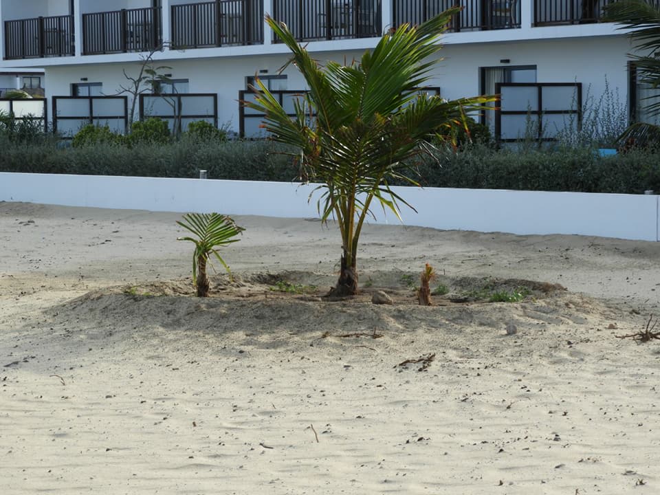 Sonstiges Motiv Meliá Laguna Beach