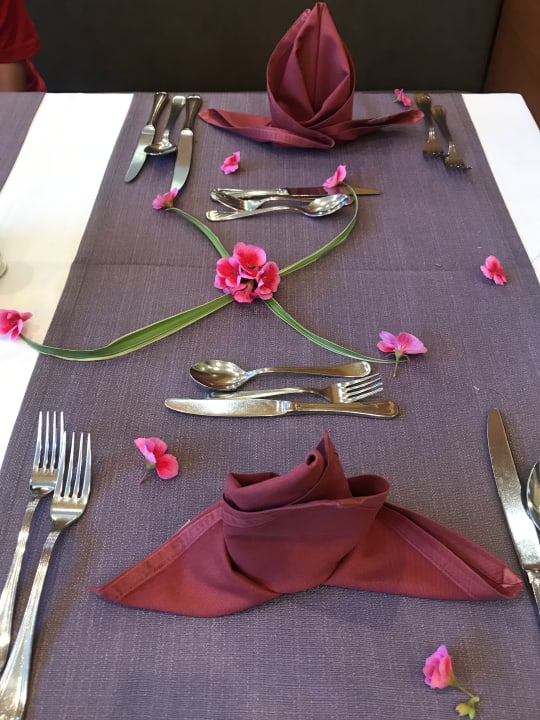 Gastro Arum Barut Collection