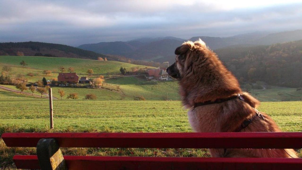 Alles mir S'Fleckli Bioland Ferienbauernhof