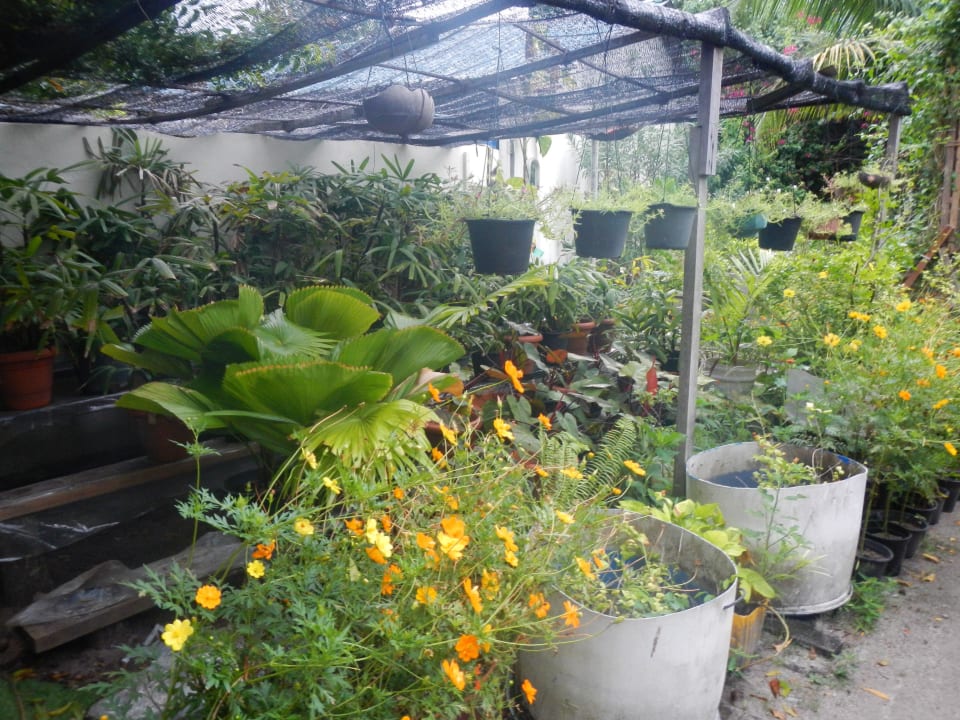 Reethi Beach Garden NH Collection Maldives Reethi Resort