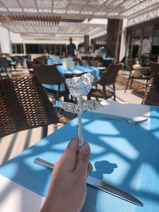 Gastro Terrace Elite Resort