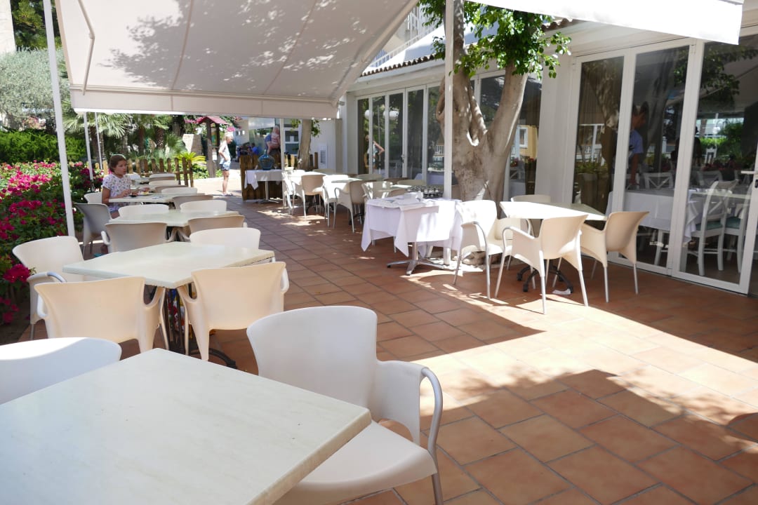 Hier konnte man gut seine Zeit verbringen Alcudia Garden Aparthotel