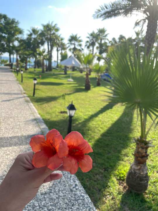 Außenansicht Sultan of Dreams Hotel & Spa