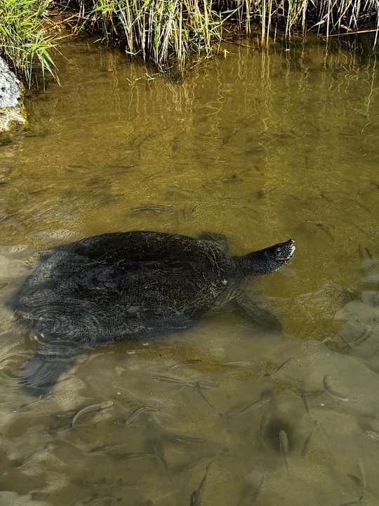 Strand Dream Fun World