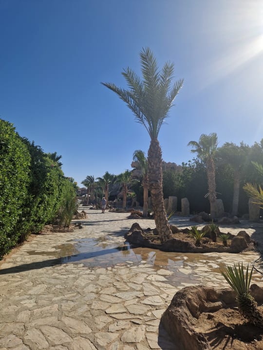 Gartenanlage Hotel Caves Beach Resort (Adults Only)