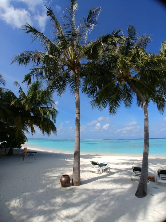 Strand Meeru Maldives Resort Island