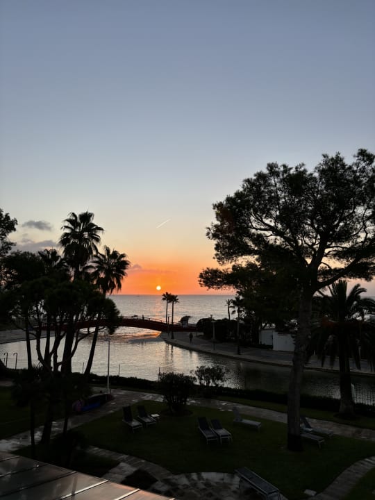 Ausblick allsun App.-Hotel Orquidea Playa
