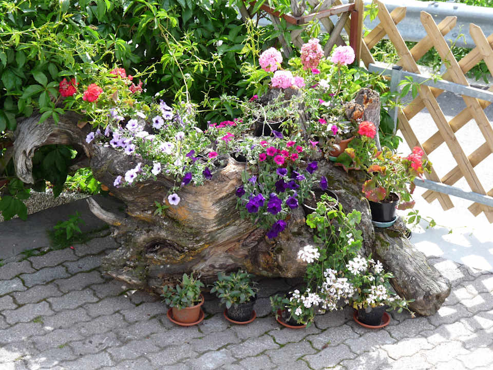 Blumendeko im Hof Appartements Sonneck