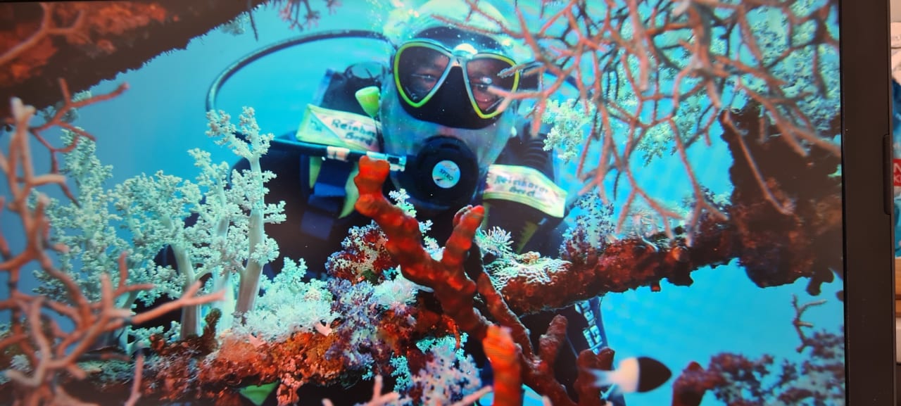 Sport & Freizeit Novotel Marsa Alam Beach Resort