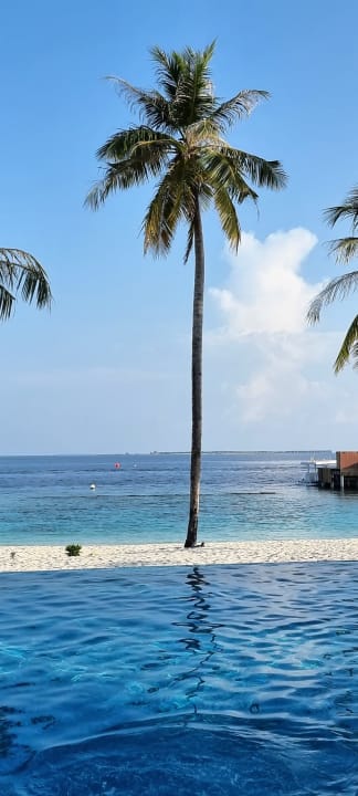 Pool Reethi Faru Resort
