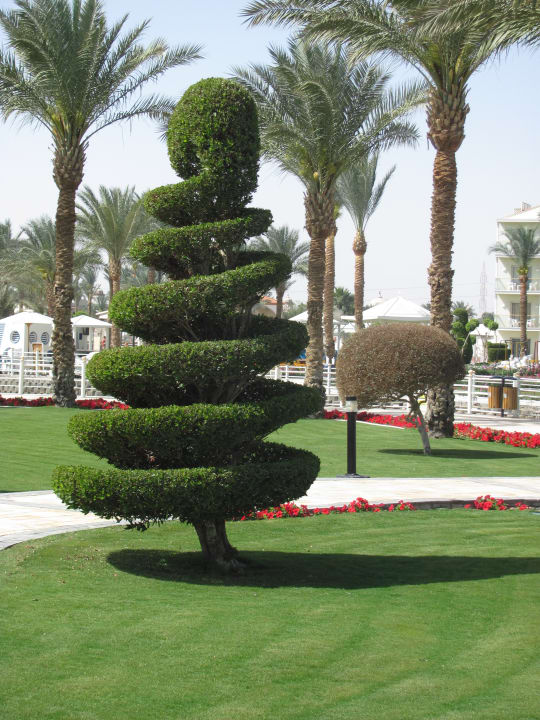 Gartenanlage Pickalbatros Dana Beach Resort - Hurghada