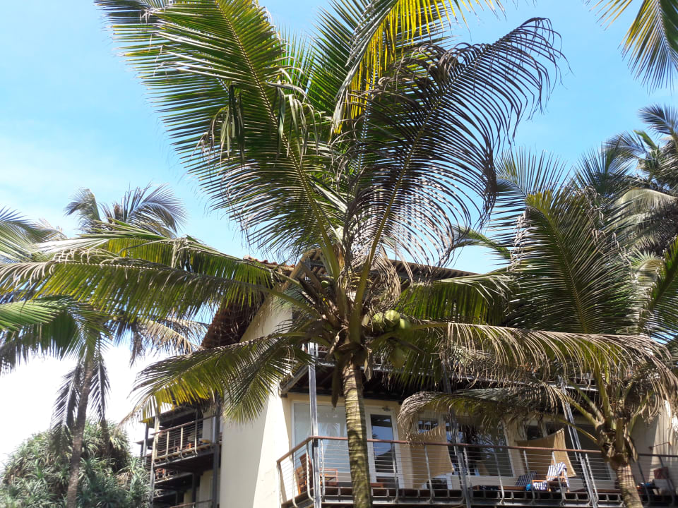 Gartenanlage Mermaid Hotel & Club