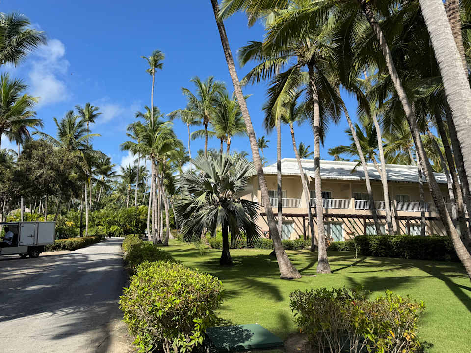 Gartenanlage Hotel Grand Palladium Palace Resort, Spa & Casino