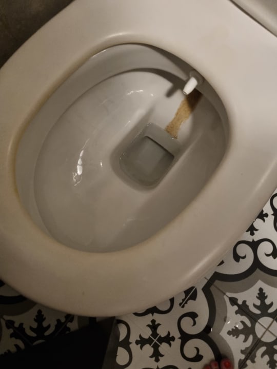 Zimmer Hotel Aslan City Kleopatra