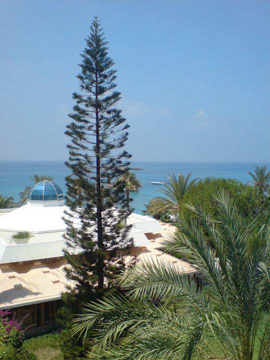 Ausblick aufs Restaurant und das Meer Top Hotel