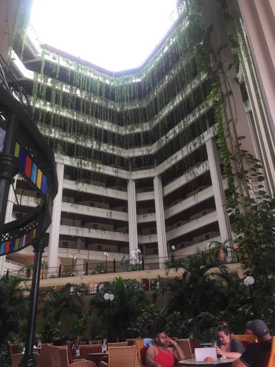 Lobby Blau varadero - Adults only