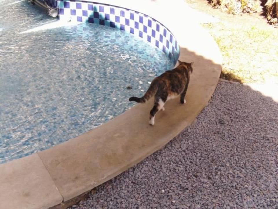 Iberostar Averroes6 Iberostar Waves Averroes