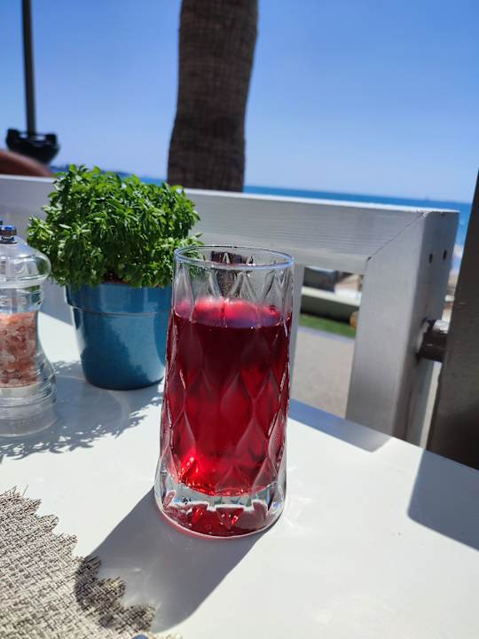 Gastro Acanthus Cennet Barut Collection