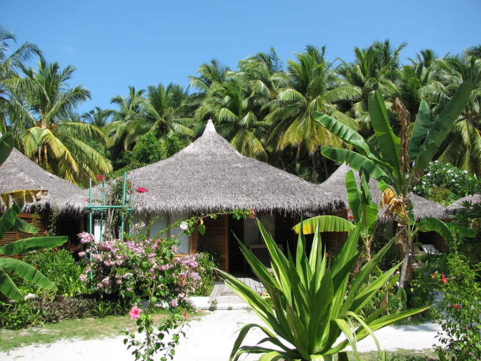 Beach Villa mit Jacuzzi Kuramathi Maldives