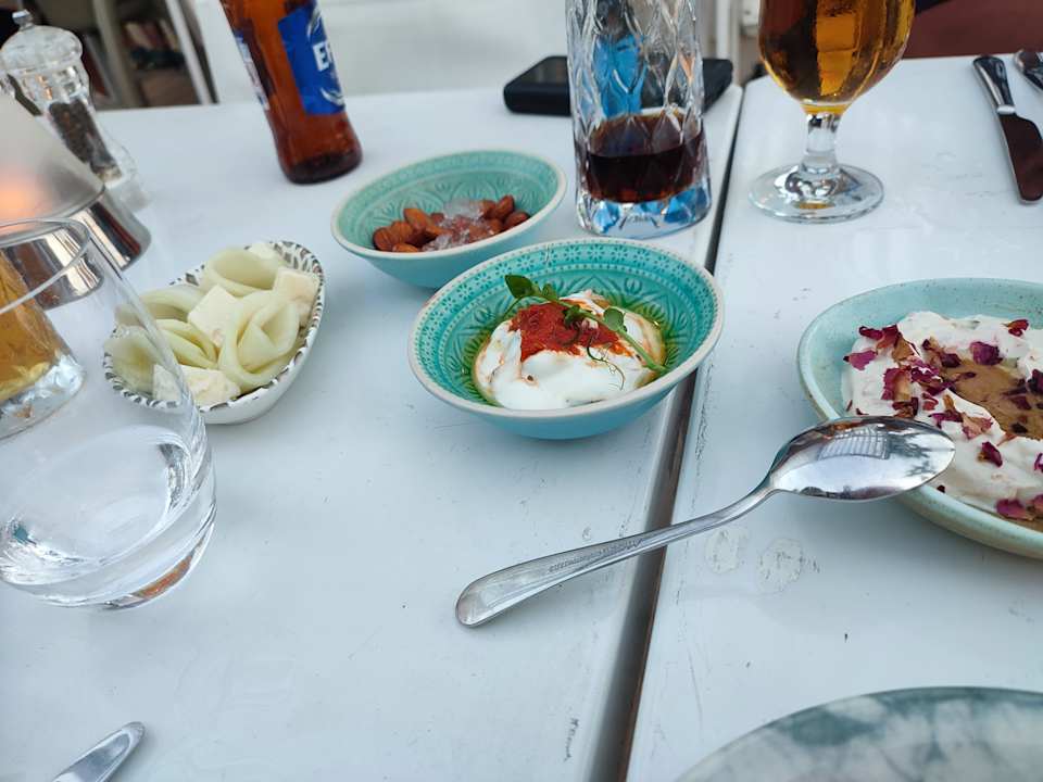 Gastro Acanthus Cennet Barut Collection