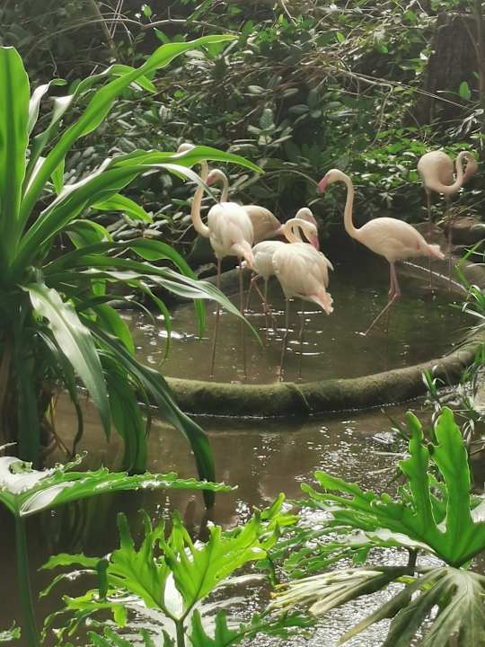 Gartenanlage Tropical Islands Resort