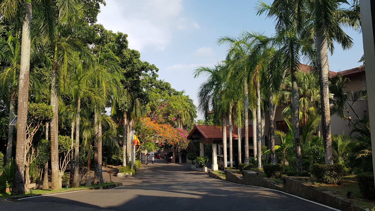 Gartenanlage Royal Palms Beach Hotel