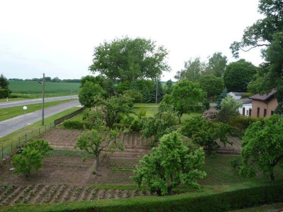 Ausblick aus dem Zimmer Landhotel Felchow