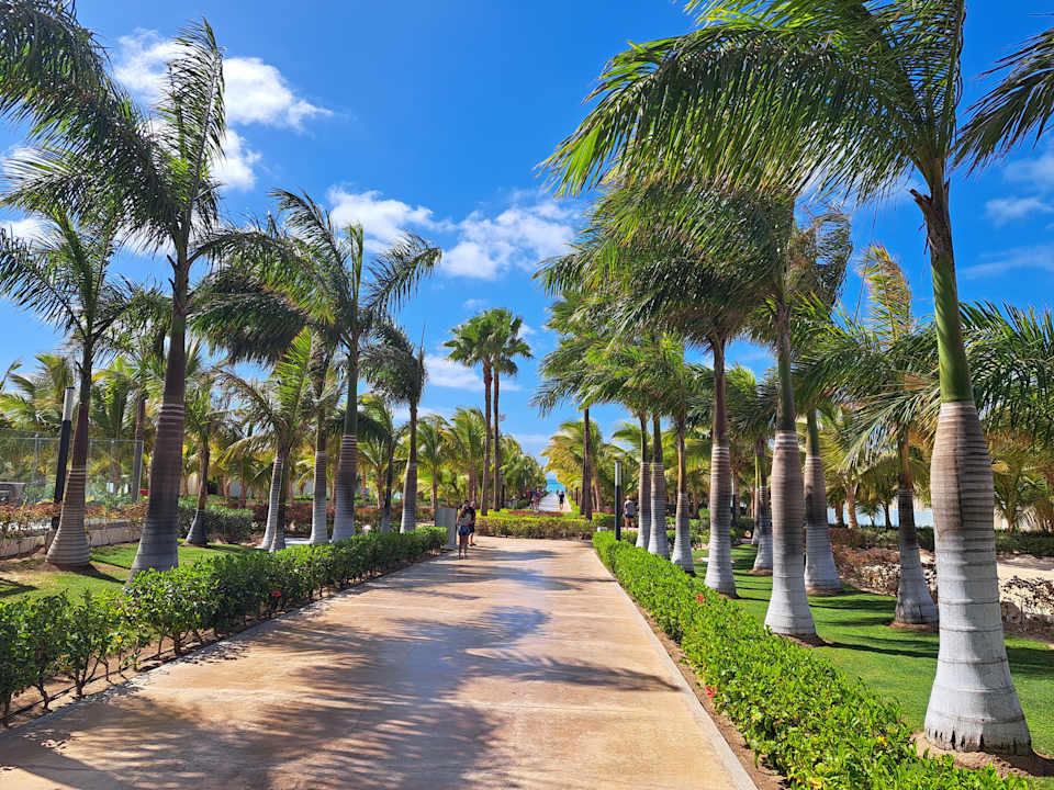 Gartenanlage Hotel Riu Palace Boavista