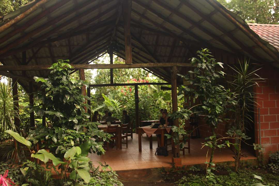 Restaurant Hotel Oasis Fortuna