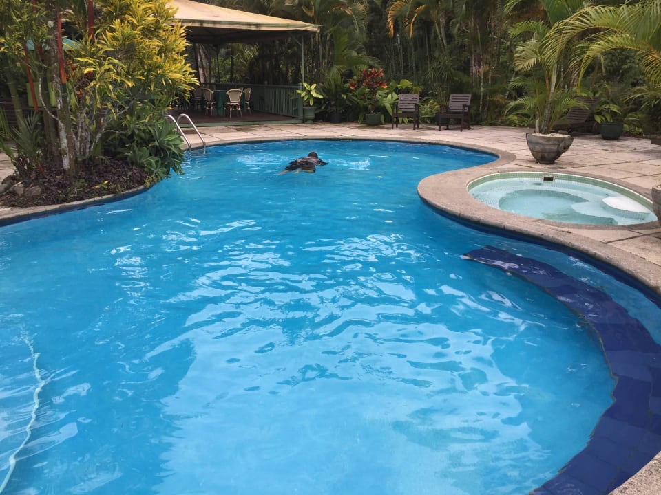 Pool Hotel Casa Turire